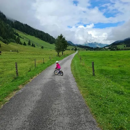 Anna 1 By Smr - Inc And Near Gondola Rauris