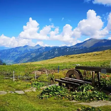 Anna 1 By Smr - Inc And Near Gondola Rauris